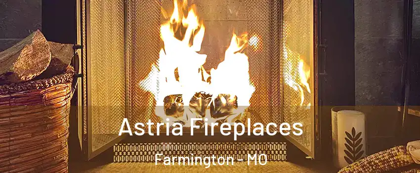  Astria Fireplaces Farmington - MO