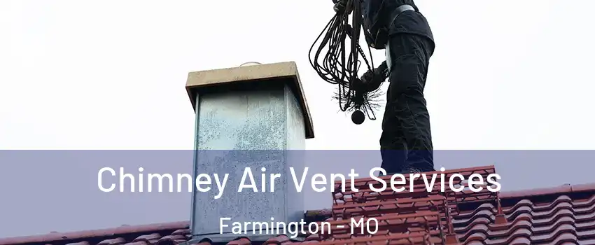  Chimney Air Vent Services Farmington - MO