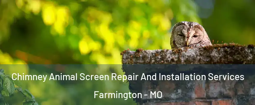 Chimney Animal Screen Repair And Installation Services Farmington - MO