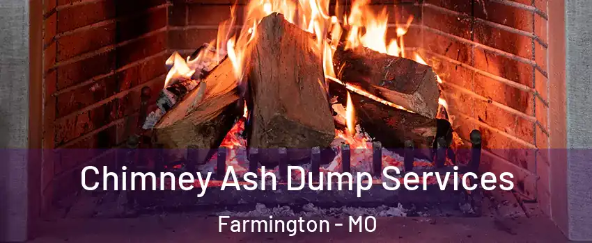  Chimney Ash Dump Services Farmington - MO