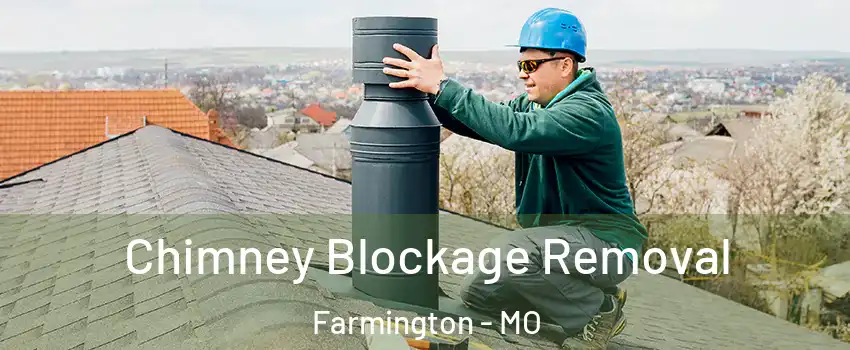  Chimney Blockage Removal Farmington - MO