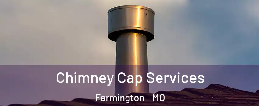  Chimney Cap Services Farmington - MO