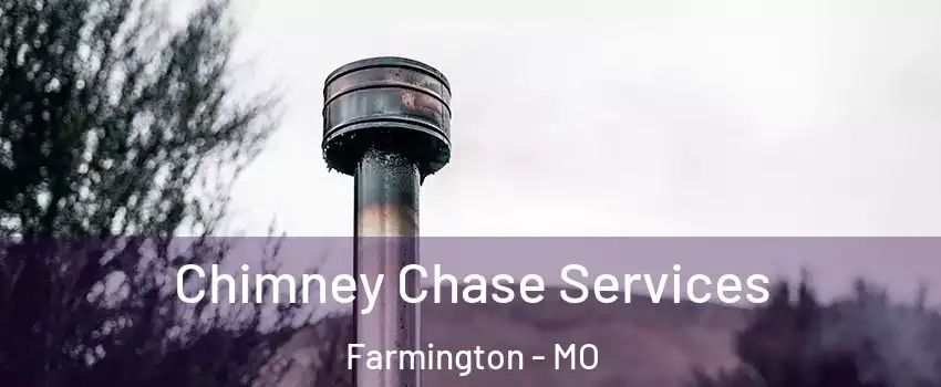 Chimney Chase Services Farmington - MO