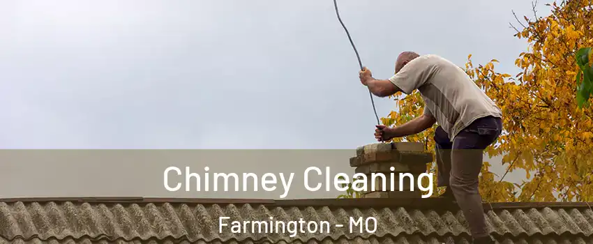  Chimney Cleaning Farmington - MO