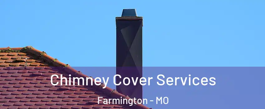  Chimney Cover Services Farmington - MO