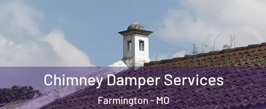  Chimney Damper Services Farmington - MO