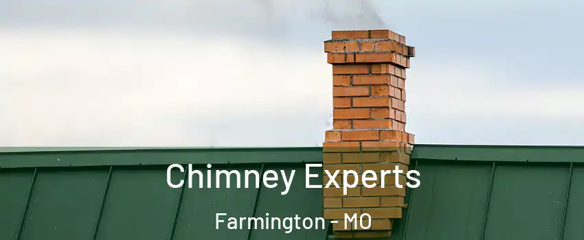  Chimney Experts Farmington - MO