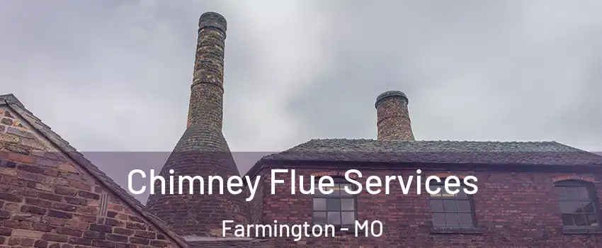  Chimney Flue Services Farmington - MO