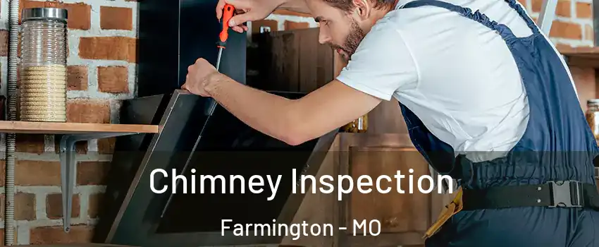 Chimney Inspection Farmington - MO