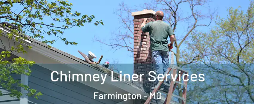  Chimney Liner Services Farmington - MO