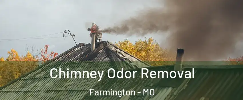 Chimney Odor Removal Farmington - MO