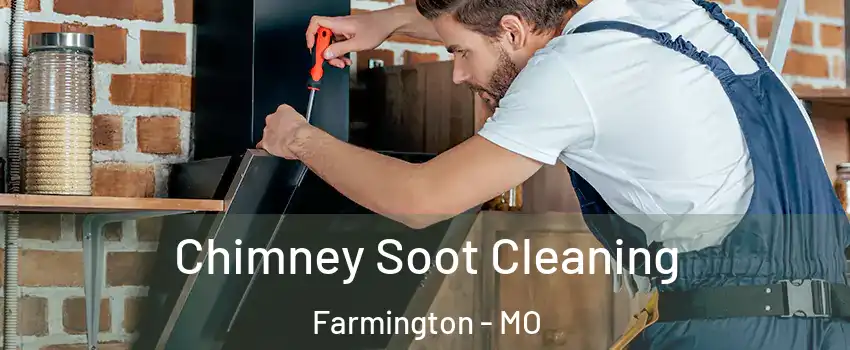  Chimney Soot Cleaning Farmington - MO