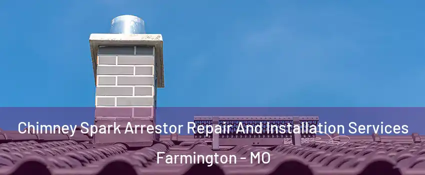  Chimney Spark Arrestor Repair And Installation Services Farmington - MO