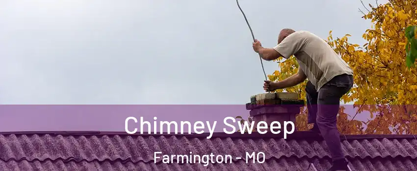  Chimney Sweep Farmington - MO
