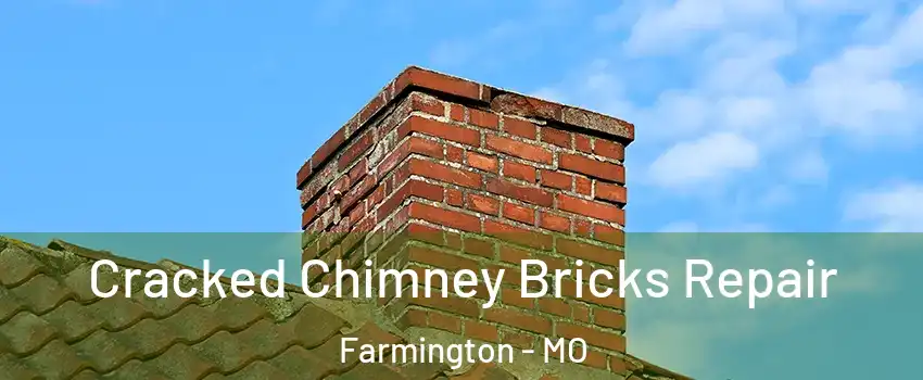  Cracked Chimney Bricks Repair Farmington - MO