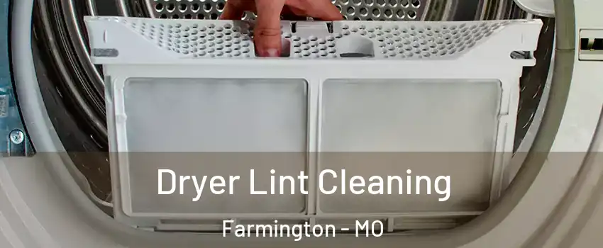 Dryer Lint Cleaning Farmington - MO
