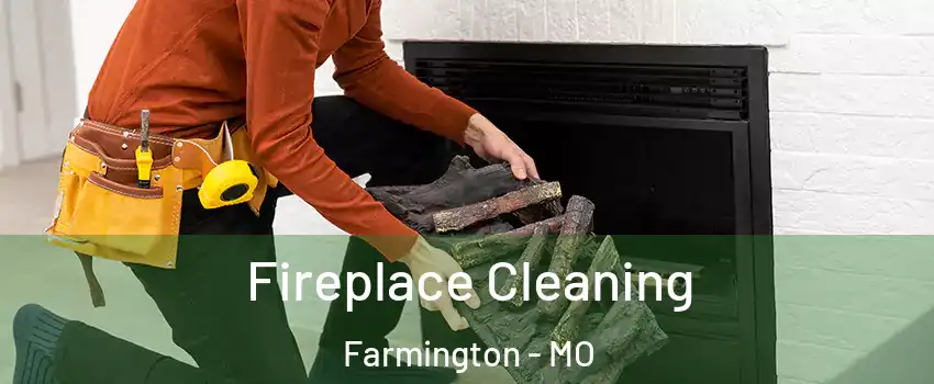  Fireplace Cleaning Farmington - MO