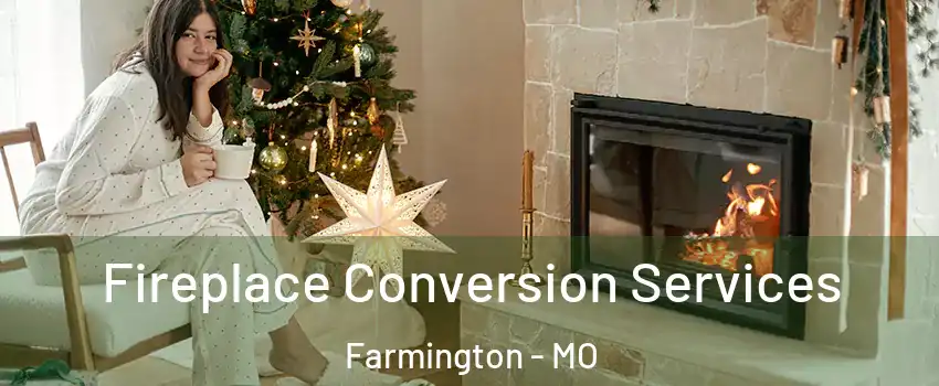  Fireplace Conversion Services Farmington - MO