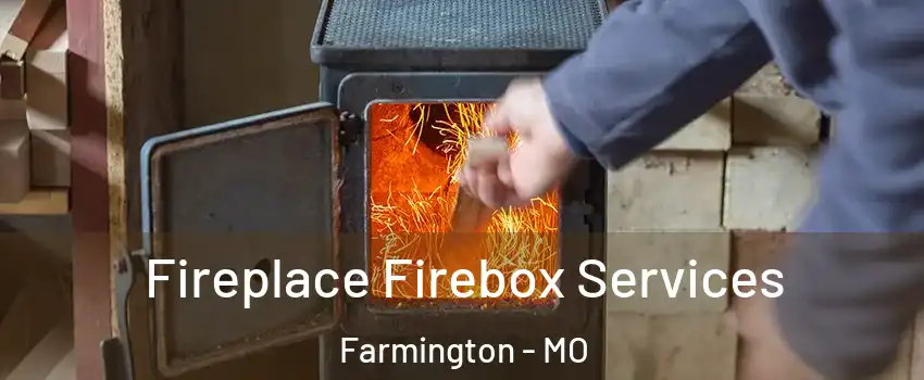  Fireplace Firebox Services Farmington - MO
