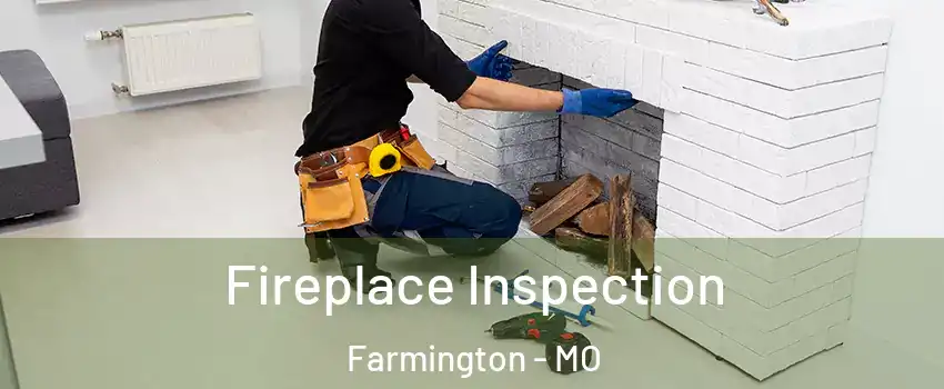  Fireplace Inspection Farmington - MO