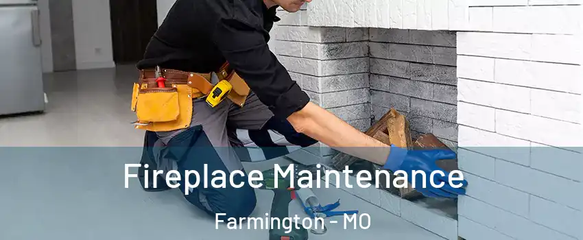  Fireplace Maintenance Farmington - MO