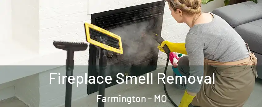  Fireplace Smell Removal Farmington - MO