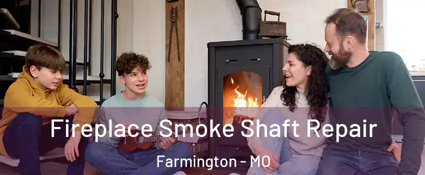  Fireplace Smoke Shaft Repair Farmington - MO