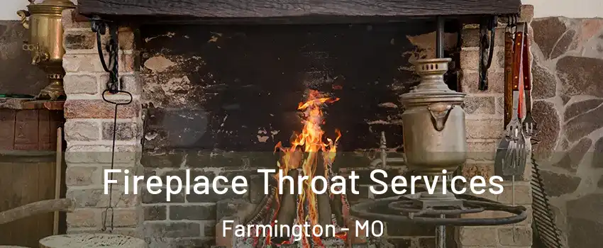  Fireplace Throat Services Farmington - MO
