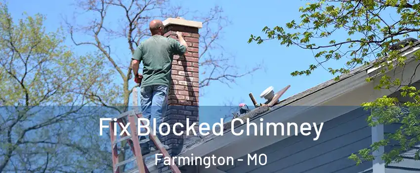  Fix Blocked Chimney Farmington - MO