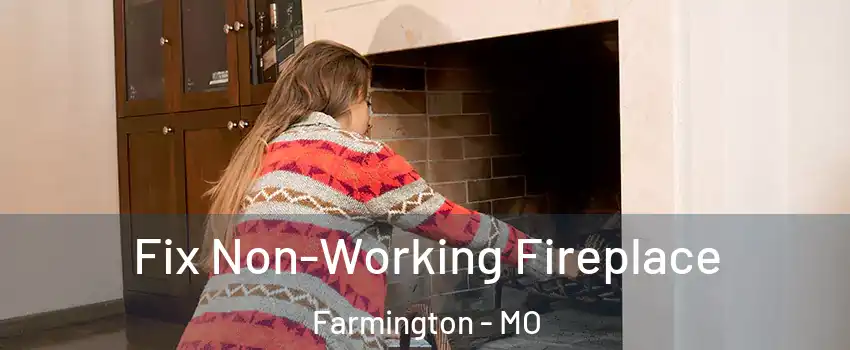  Fix Non-Working Fireplace Farmington - MO