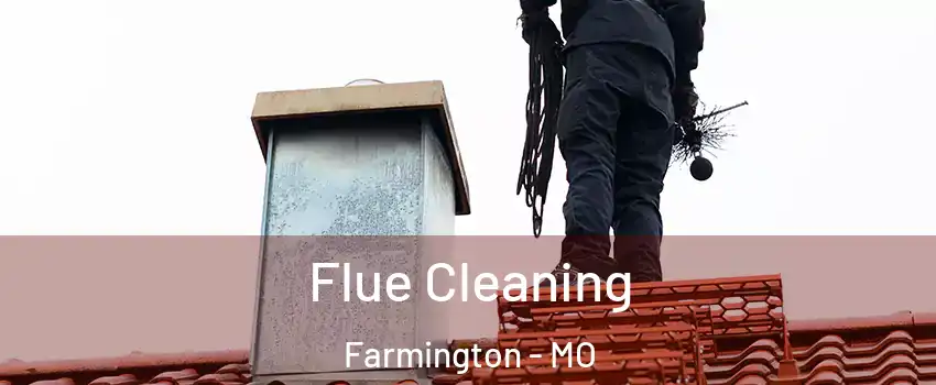  Flue Cleaning Farmington - MO