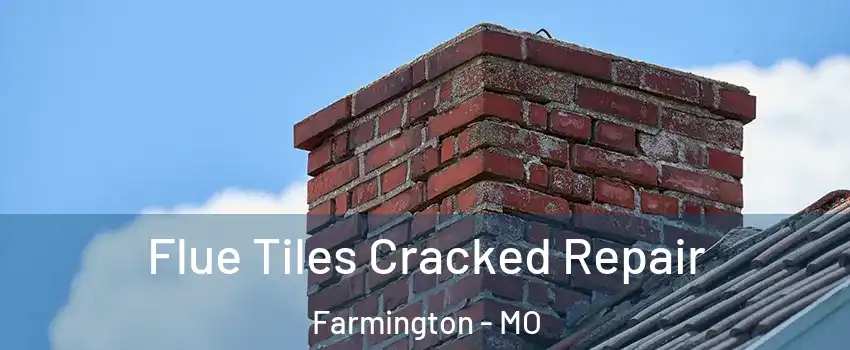  Flue Tiles Cracked Repair Farmington - MO