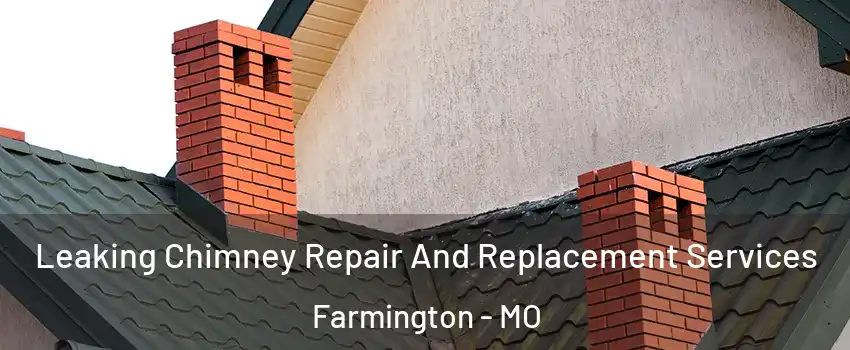 Leaking Chimney Repair And Replacement Services Farmington - MO