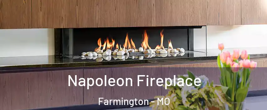  Napoleon Fireplace Farmington - MO