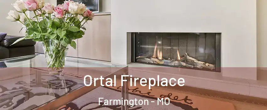  Ortal Fireplace Farmington - MO