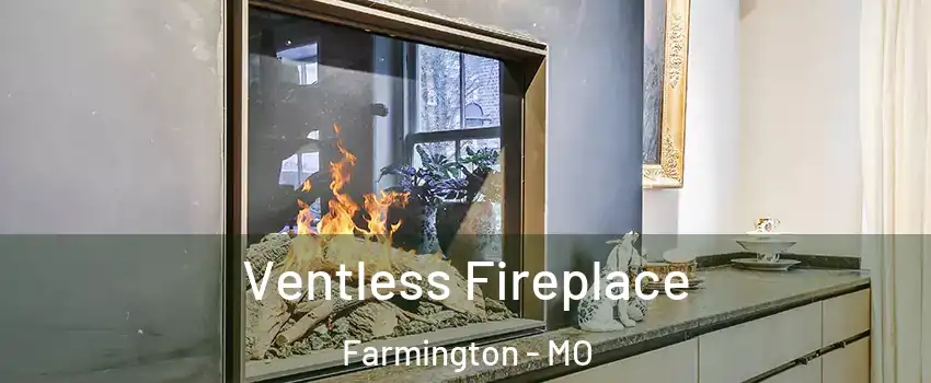  Ventless Fireplace Farmington - MO